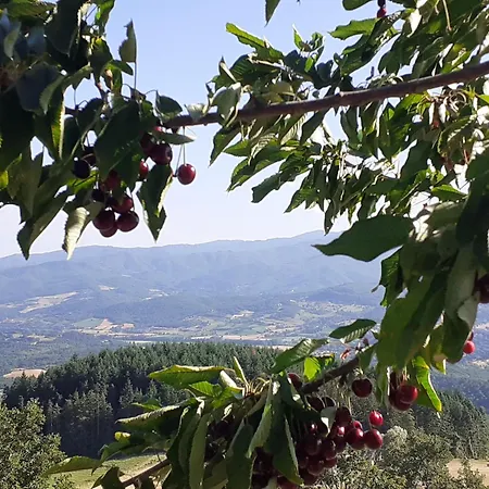 La Casetta Al Castagno * Moggiona